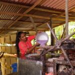 Kadadasi and the Backyard Forest - A Complete Look at Kadadasi and the Backyard Forest