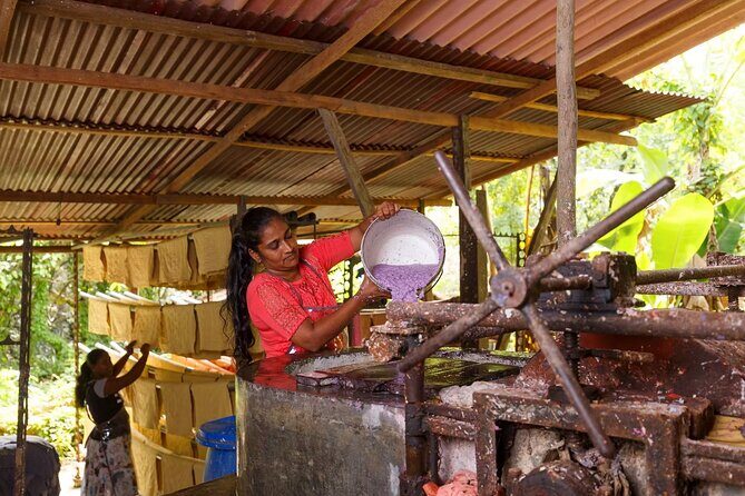 Kadadasi and the Backyard Forest - A Complete Look at Kadadasi and the Backyard Forest