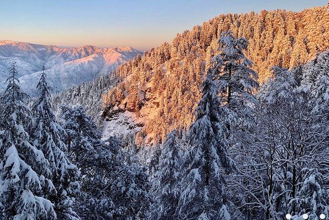 Kaflani Day Hike - Mussoorie - Why We Think It’s a Great Choice