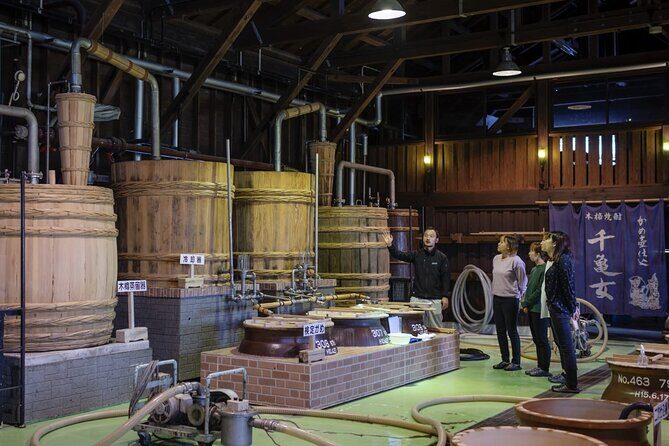 Kagoshima Nature and Food Culture Private Tour