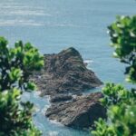 Kagoshima Private Customized Full Day Tour - The Sum Up: Who Will Love This Tour?