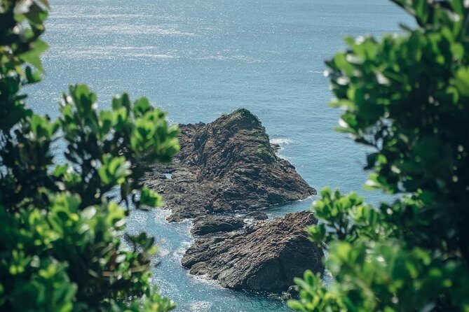 Kagoshima Private Customized Full Day Tour - The Sum Up: Who Will Love This Tour?