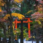 Kagoshima Private Vehicle Service with Restaurant Reservation - Itinerary Breakdown: What To Expect