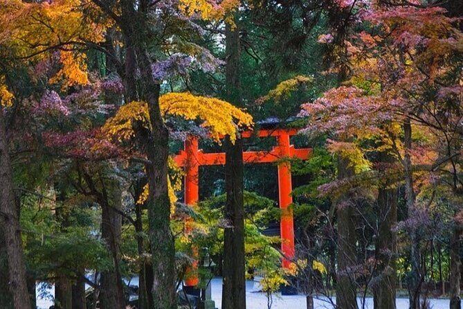 Kagoshima Private Vehicle Service with Restaurant Reservation - Itinerary Breakdown: What To Expect