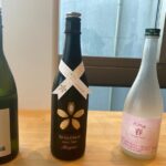 Kakegawa Castle and Sake Tasting Private Tour with Public Train - Who Should Consider This Tour?