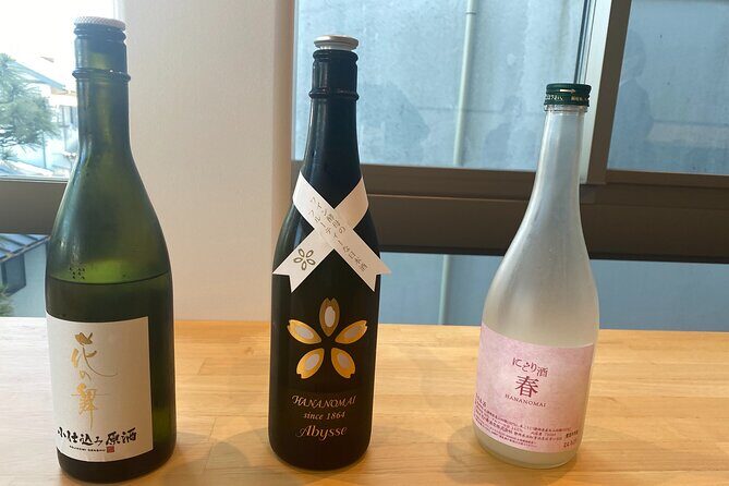 Kakegawa Castle and Sake Tasting Private Tour with Public Train - Who Should Consider This Tour?