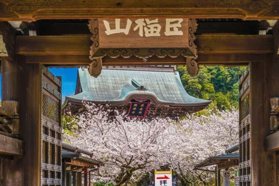 Kamakura: A Journey Through Medieval Japan - Authentic Experiences and Practical Details