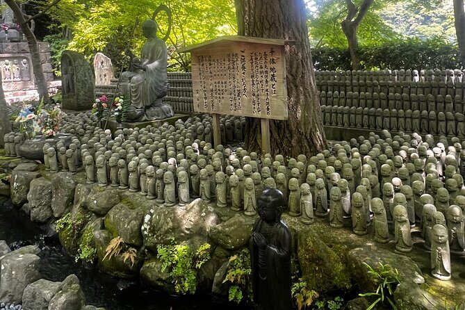 Kamakura and Enoshima Tour with Vehicle and Guide - The Sum Up