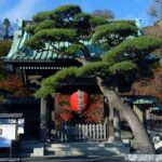 Kamakura and Yokohama Private Tour with Bilingual Chauffeur - Practical Aspects: Transportation, Cost, and Comfort