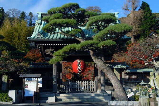 Kamakura and Yokohama Private Tour with Bilingual Chauffeur - Practical Aspects: Transportation, Cost, and Comfort