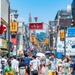 Kamakura: Explore the most famous street and get your favorite - What Makes This Tour Stand Out?