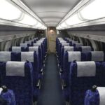 Kamakura Great Buddha, Temple, Shrine Private Day Tour from Tokyo - Who Should Take This Tour?