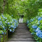 Kamakura Private Charter Car Private tour - Practical Tips and Considerations