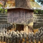 Kamakura Private Custom Tour: Great Buddha, Temples & Coast - Why Guides Make the Difference