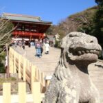 Kamakura Private walking tour (with local experience in option) - Practical Aspects and What to Expect