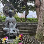 Kamakura Tours Half Day or Full Day Tours with a local guide. - Final Thoughts