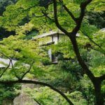 Kamakura Vibes & Enoshima Sights Day Tour - Why We Think This Tour Offers Great Value