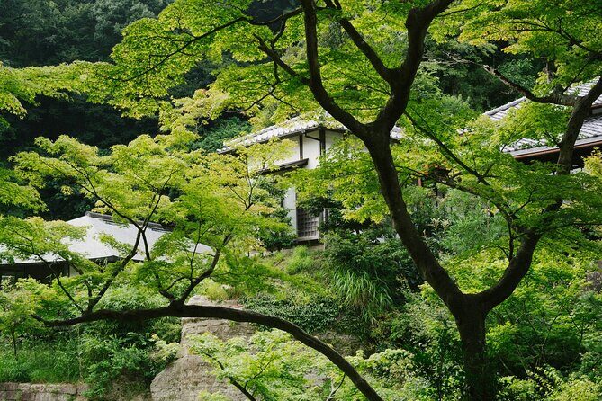 Kamakura Vibes & Enoshima Sights Day Tour - Why We Think This Tour Offers Great Value