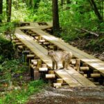 Kamikochi Private Summer Escape: Meet Wildlife in Pristine Nature - Itinerary Breakdown and What to Expect