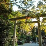 Kamishikimi Kumanoza Shrine, Amano Iwato Shrine & Takachiho Gorge - Exploring Kyushu’s Sacred and Scenic Sites: A Detailed Look