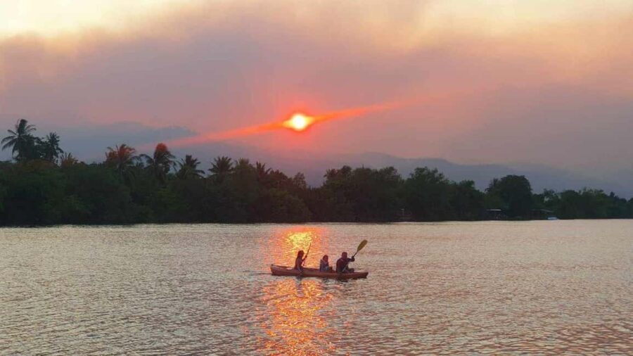Kampot Pepper farm & Kayak trip around Green cathedral Sunse - An In-Depth Look at the Kampot Countryside Experience