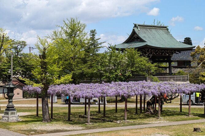 Kanazawa Tonami Tulips and UNESCO Gokayama - Practical Advice and Final Thoughts