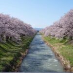 Kanazawa/Toyama: Spring Quartet of Flowers Day Tour - Final Thoughts
