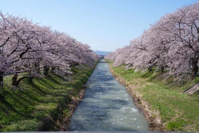 Kanazawa/Toyama: Spring Quartet of Flowers Day Tour - Final Thoughts