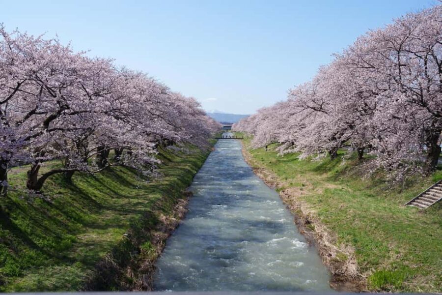 Kanazawa/Toyama: Spring Quartet of Flowers Day Tour - Final Thoughts