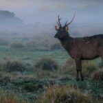 Kandy City Day Tour - The Itinerary: What Makes It Special