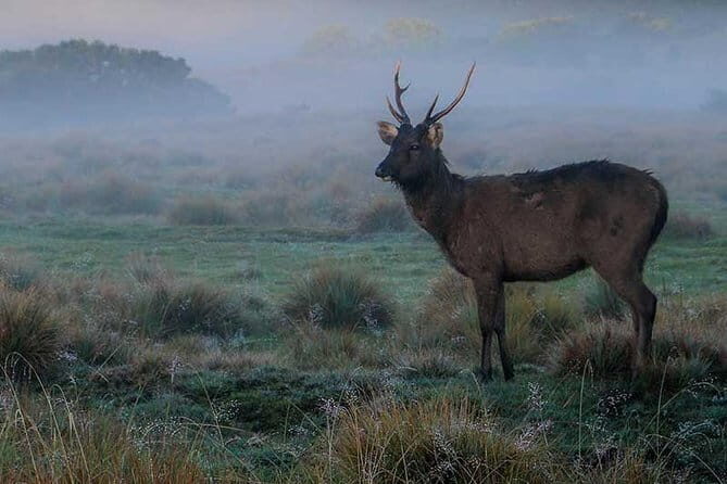 Kandy City Day Tour - The Itinerary: What Makes It Special