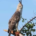 Kandy City Tour by Lux Tours Lanka - Why This Tour Offers Great Value