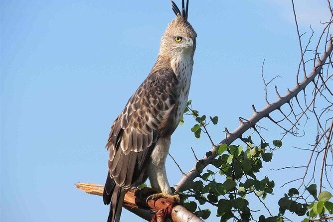 Kandy City Tour by Lux Tours Lanka - Why This Tour Offers Great Value