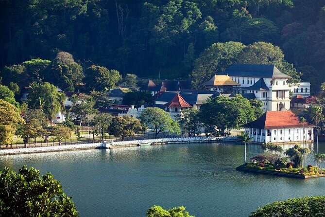 Kandy City Tour from Negombo - Exploring the Highlights in Detail