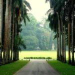 Kandy Day Tour - What Makes This Tour Stand Out