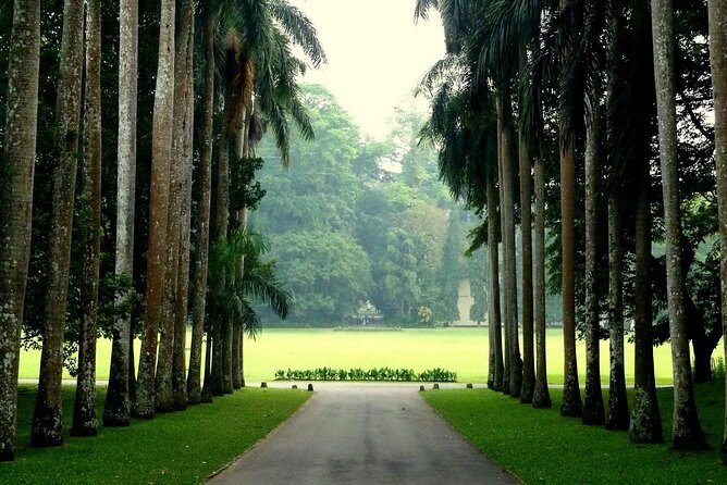 Kandy Day Tour - What Makes This Tour Stand Out