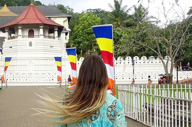 Kandy Day Trip: Colombo, Negombo, Bentota and Kalutara - Possible Drawbacks and Considerations