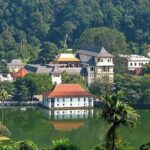 Kandy Day Trip with Tooth Relic Temple & Unique Attractions - Practical Tips for Making the Most of This Tour