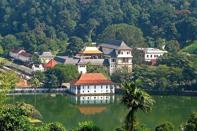 Kandy Day Trip with Tooth Relic Temple & Unique Attractions - Practical Tips for Making the Most of This Tour