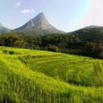 Kandy: Meemure Village Day Trip (Hidden Mountain Village) - The Journey Begins: From Kandy to Meemure