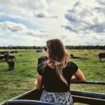 Kandy to Anuradhapura Shuttle & Safari Drive - Key Points