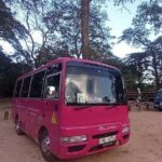 Kandy to Bandaranayake Airport Katunayake Drop - Final Thoughts: Is This Transfer Right for You?