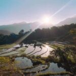 Kandy: Traditional Village Tour with Authentic Experience - Practical Details and Tips