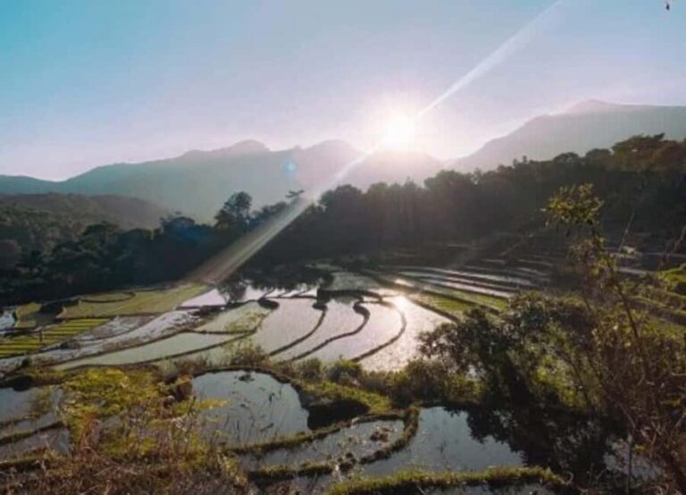 Kandy: Traditional Village Tour with Authentic Experience - Practical Details and Tips