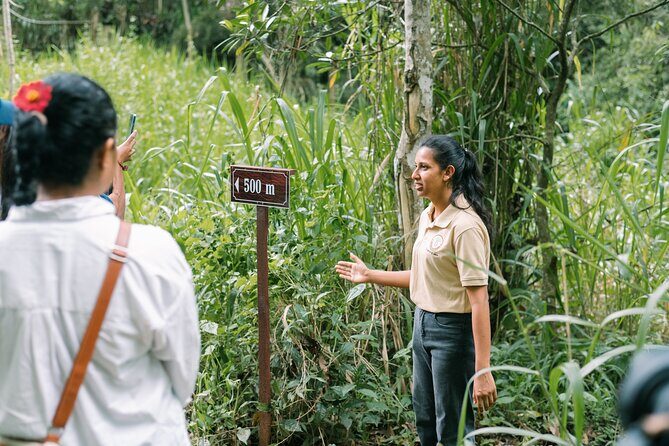 Kandy Yahalatenna Walking Coffee Class Activity - The Details That Make This Coffee Walk Stand Out