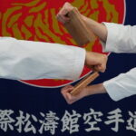Karate Experience with the Shotokan Karate-do Instructor - Who is this tour best suited for?