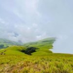 Karnataka: Western Ghats Trekking Adventure - A detailed look at the trekking experience
