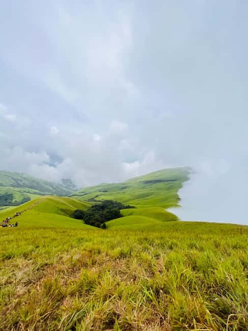 Karnataka: Western Ghats Trekking Adventure - A detailed look at the trekking experience