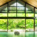 Karuizawa, Kawagoe and Hashino Resort Shrine Day Tour from Tokyo - Price and Value