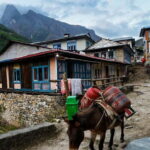 Kathmandu: 15-Day Everest Base Camp Trek with Guide - Key Points